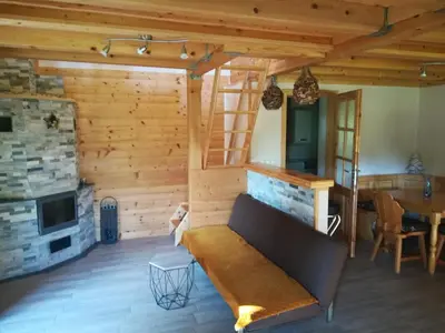a living room with a couch and a fireplace at Brunarica Lorentia in Bizeljsko