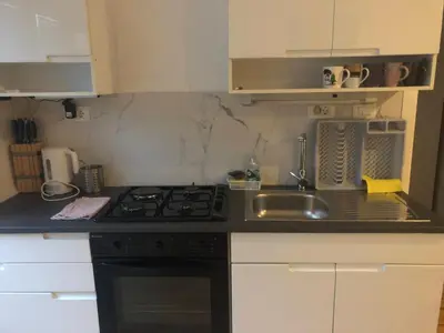 a small kitchen with a stove and a sink at Villa Acernis in Postojna
