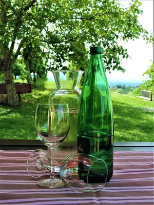 a bottle of wine and two glasses on a table at Zidanica Lan in Lendava