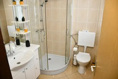 a bathroom with a shower and a toilet and a sink at Zidanica Lan in Lendava