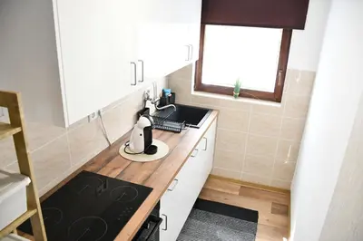 a small kitchen with a sink and a stove at Zidanica Lan in Lendava