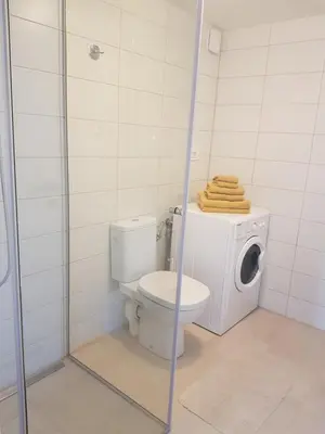 a bathroom with a toilet and a washing machine at Apartment ALMA - to travel is to live in Celje