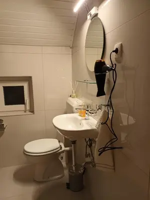 a bathroom with a sink and a toilet and a mirror at Home away from home in Bohinj