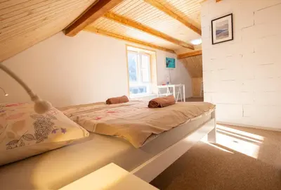 a bedroom with a bed in a room at Apartments and Rooms Banić in Kranjska Gora