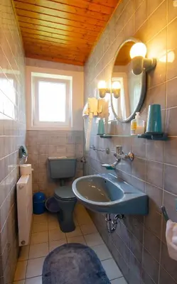 a bathroom with a sink and a toilet and a mirror at Apartments and Rooms Banić in Kranjska Gora