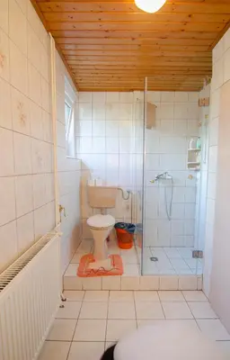 a bathroom with a shower and a toilet in it at Apartments and Rooms Banić in Kranjska Gora