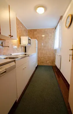 a small kitchen with a sink and a microwave at Apartments and Rooms Banić in Kranjska Gora