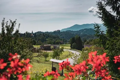 a view of a road in a field with flowers at Apartmaji Retro in Spodnje Gorje