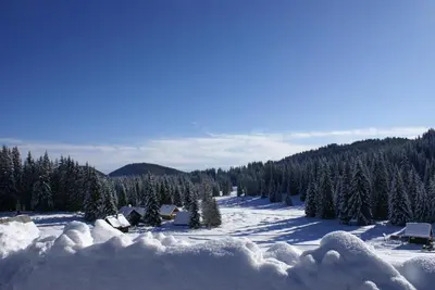 a snow covered mountain with trees and houses in the distance at Hotel Jelka Pokljuka in Goreljek