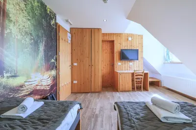 a room with two beds and a tv in it at Hotel Jelka Pokljuka in Goreljek