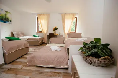 a room with three beds and a plant in the middle at Sunny Rooms in Most na Soči