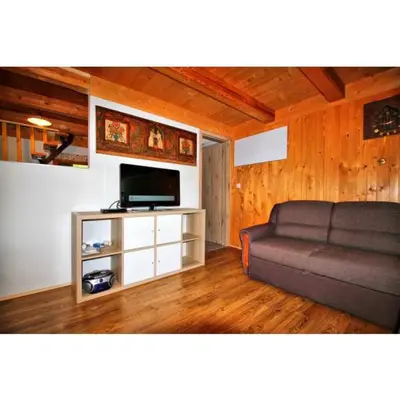 a living room with a couch and a television at Počitniška hiša Jeklar in Bohinj