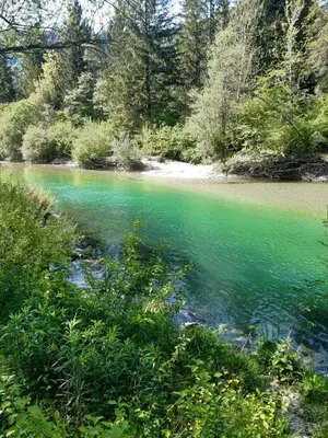 a river with turquoise green water and trees at SOBE U SIRRC in Bled