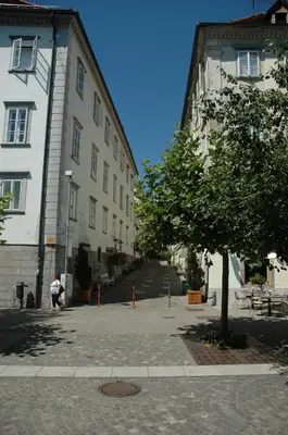 a city street with two buildings and a tree at Vitez Apartment II in Ljubljana