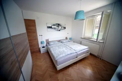 a bedroom with a bed and a window at Apartment Arh in Bled