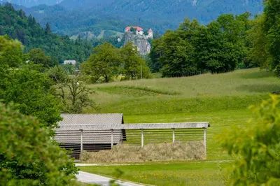 a barn with a pile of hay in a field at Apartment Arh in Bled