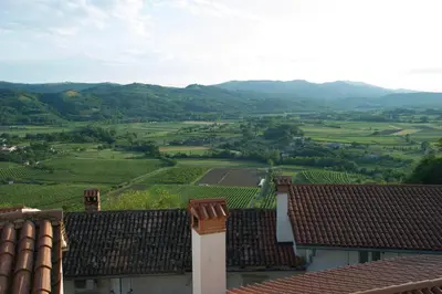 a view of a vineyard from the roofs of houses at Lagom Home Vipavski Križ in Ajdovščina