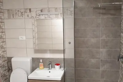 a bathroom with a shower and a toilet and a sink at APARTMAJI VITEZ apartma 1 in Bovec