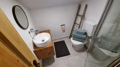 a bathroom with a sink and a toilet and a mirror at Cozy Private Cabin in the heart of Triglav National Park in Trenta