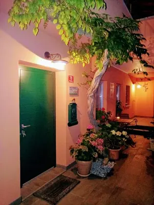 a green door with potted plants next to a tree at Villa Katarina in Branik