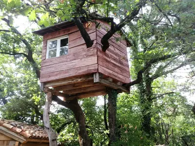 a tree house in a tree at Villa Katarina in Branik