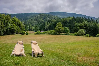 two stuffed animals sitting in a field of grass at Wooden Cottage in Jesenice