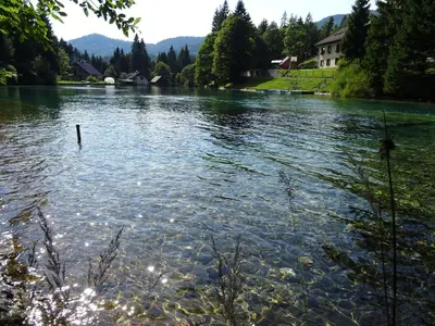 a view of a river with mountains in the background at Wooden Cottage in Jesenice