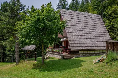 a house with a tree in front of it at Wooden Cottage in Jesenice