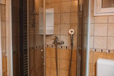 a bathroom with a shower with a toilet at Apartment with Atrium Anabela in Tolmin