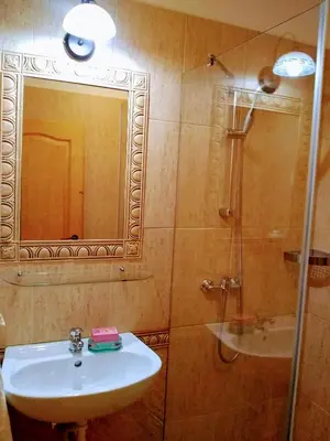 a bathroom with a sink and a mirror and a shower at Rock&Lodge in Bohinj