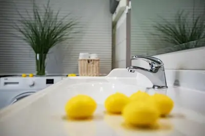 a bathroom sink with two lemons on it at House of Adventure - The Base to explore Slovenia in Laze v Tuhinju
