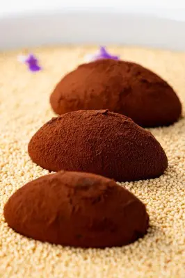 a group of three chocolate cookies on the table at Vila Podvin in Radovljica