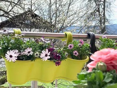two yellow buckets filled with flowers on a rail at Apartments Apple Garden **** in Bled