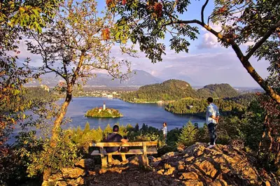 a man sitting on a bench overlooking a lake at Apartments Apple Garden **** in Bled