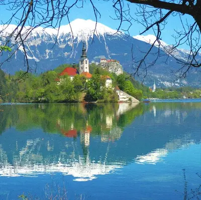 a church on an island in the middle of a lake at Apartments Apple Garden **** in Bled