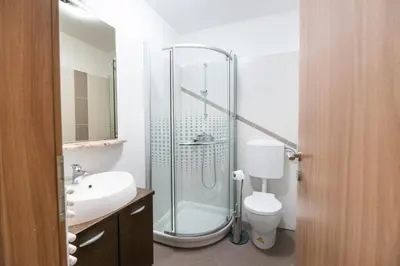 a bathroom with a shower and a toilet and a sink at Apartments Grad Kamen in Begunje na Gorenjskem