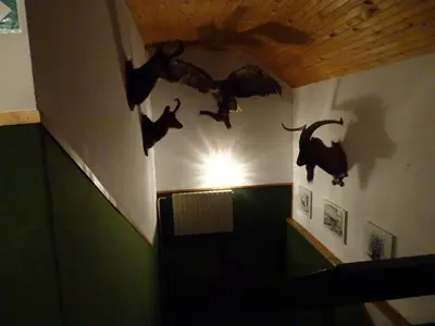 a room with bats hanging on the wall at Penzion Rožič in Bohinj