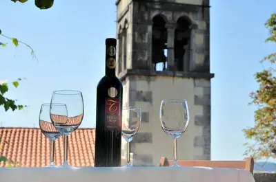 a bottle of wine and three wine glasses on a table at Blackbird House Štanjel Historic Center in Štanjel