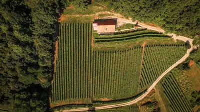 an aerial view of a farm in the middle of a field at Sleme house in Krška Vas