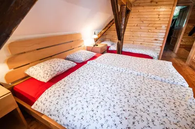 a bedroom with a large bed in a room at Sleme house in Krška Vas