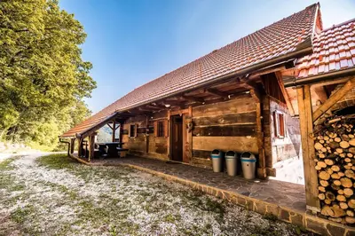 a wooden house with a bunch of logs at Sleme house in Krška Vas