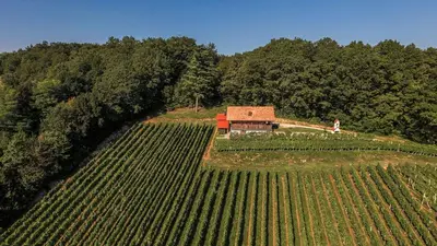 an aerial view of a farm house in a field at Sleme house in Krška Vas