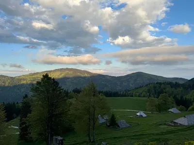 a green field with trees and mountains in the background at Mountain Lodge Suška Koča in Stahovica