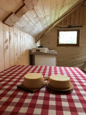 a room with two chairs sitting on a table at Mountain Lodge Suška Koča in Stahovica
