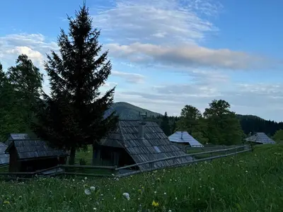a house in a field with a tree at Mountain Lodge Suška Koča in Stahovica