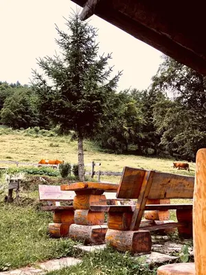 a wooden bench and a tree in a field at Mountain Lodge Suška Koča in Stahovica