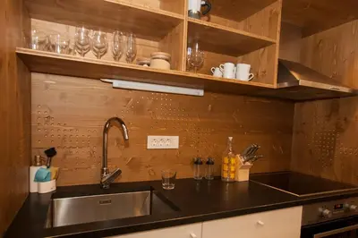 a kitchen with a sink and wooden walls at Family fun Pohorje in Ruše