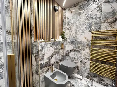 a bathroom with a toilet and a bidet at Duplex Penthouse Aparthotel Rosa in Podčetrtek