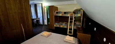 a bedroom with a bunk bed with a ladder at Planinski Dom na Travni Gori in Sodražica