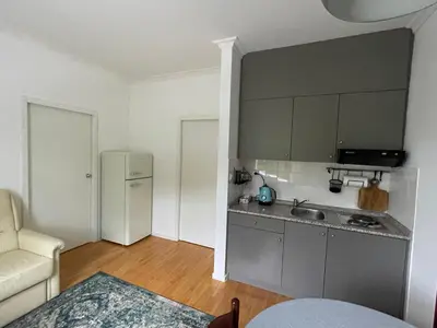 a kitchen with a sink and a couch in a room at Apartment VilaPark 14 in Rogaška Slatina